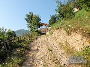 image_23