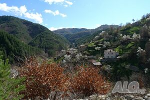 image_13