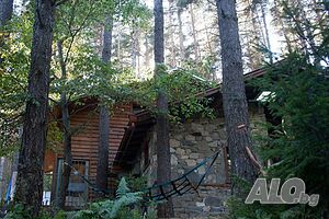 image_12