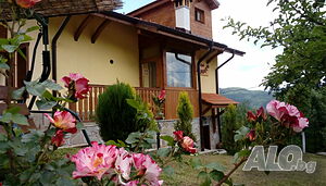 image_15