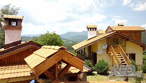 image_33
