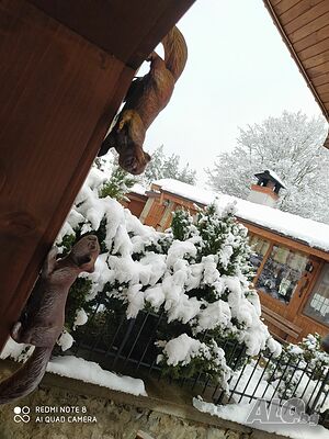 image_36