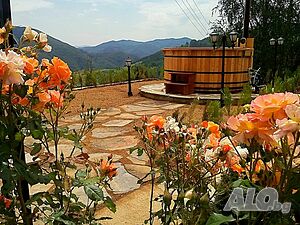 image_56