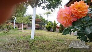 image_82