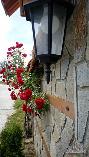 image_84