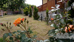 image_91