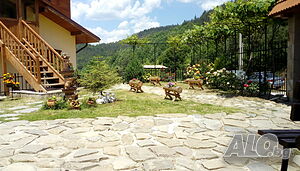 image_100