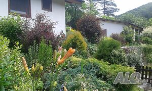 image_18