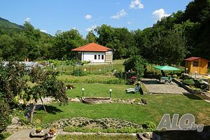 image_24