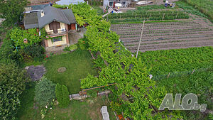image_9