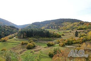 image_18