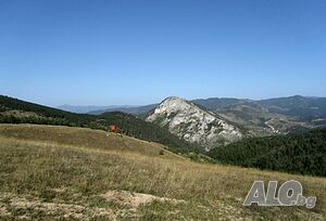 image_30