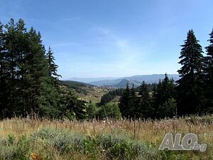 image_32
