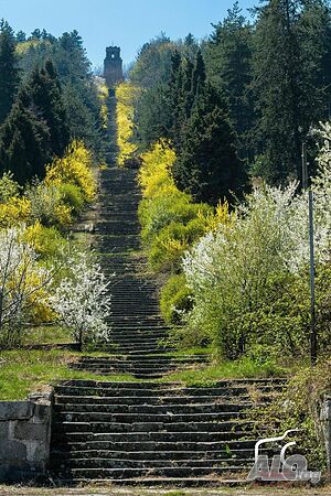 image_21