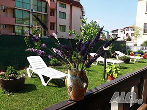 image_7