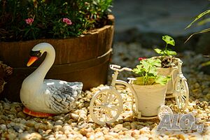 image_40