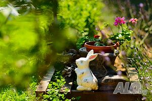 image_41