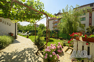 image_43