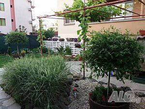 image_45