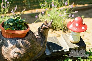 image_48