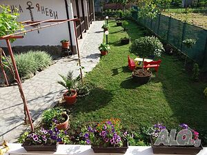 image_54