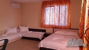 image_66