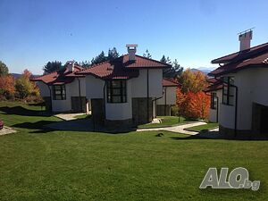image_22