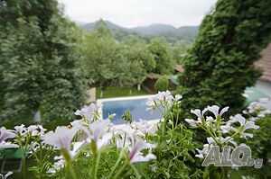 image_10