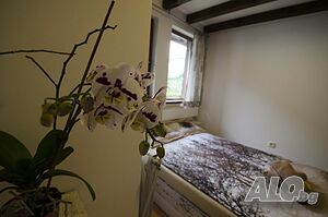 image_22