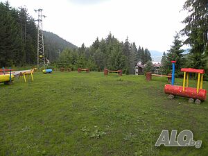image_29