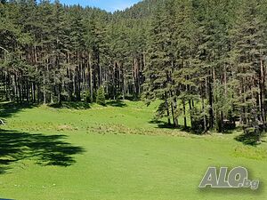 image_38