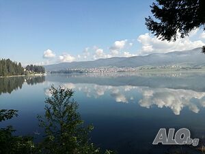 image_39