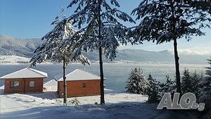 image_40
