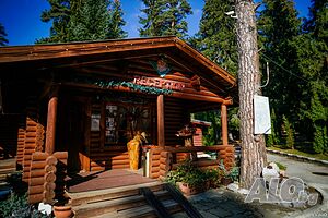 image_8