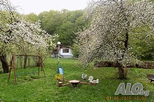 image_7