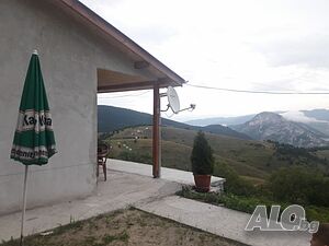 image_5