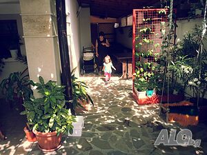image_8