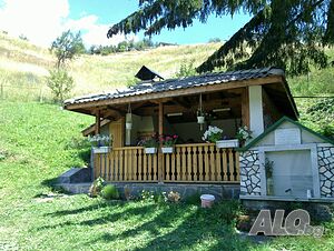 image_6