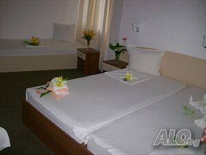 image_6