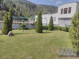image_6