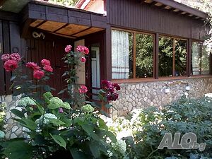 image_13