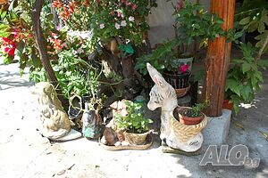 image_34