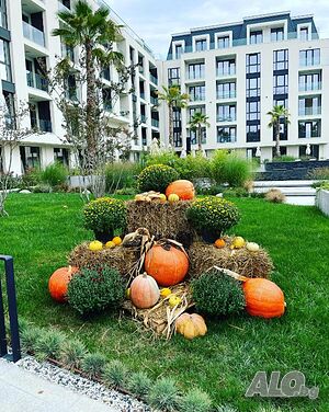 image_21