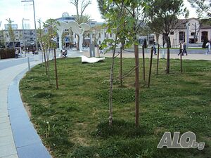 image_9