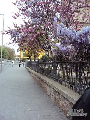 image_10