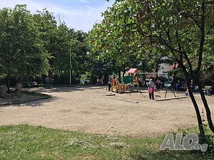 image_8