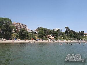 image_7