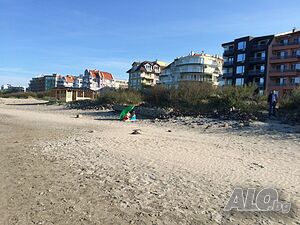 image_8