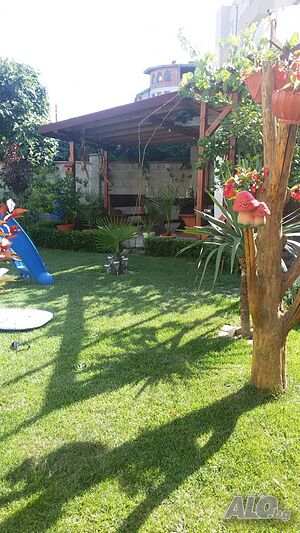 image_7