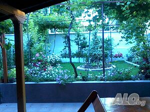 image_8